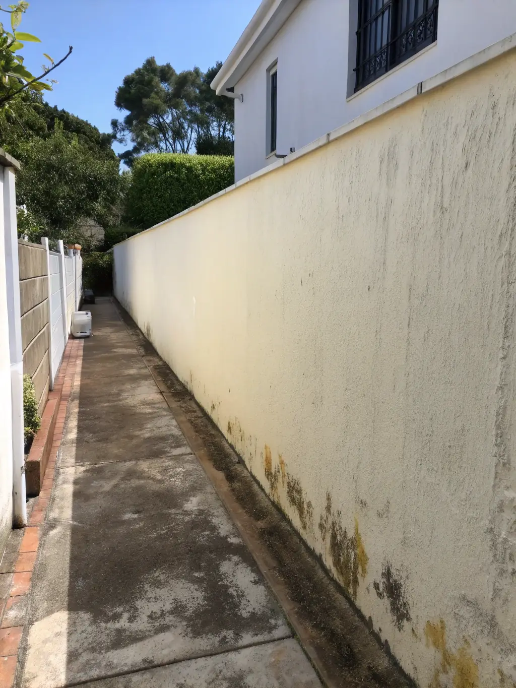 A close-up shot of a freshly cleaned wall, highlighting the removal of stains and grime, demonstrating the effectiveness of PurityNet's wall cleaning service.